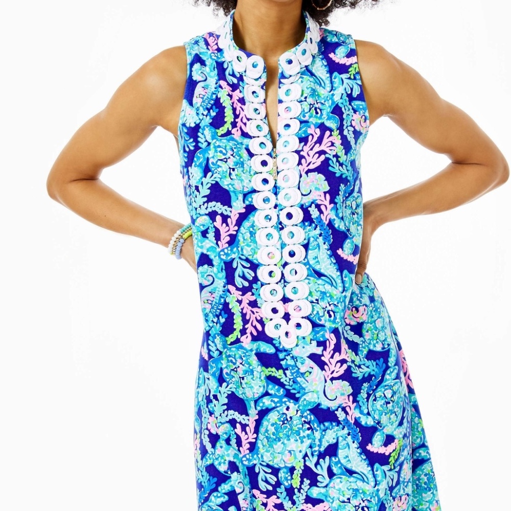 NWT New Jane Shift Dress Size 6